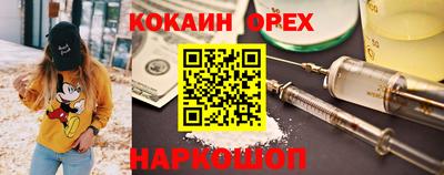 крисы Гусев