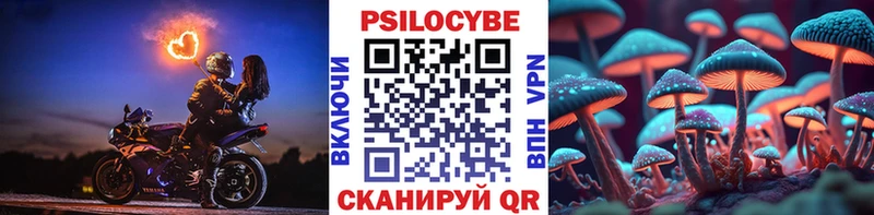 Псилоцибиновые грибы мухоморы Курск
