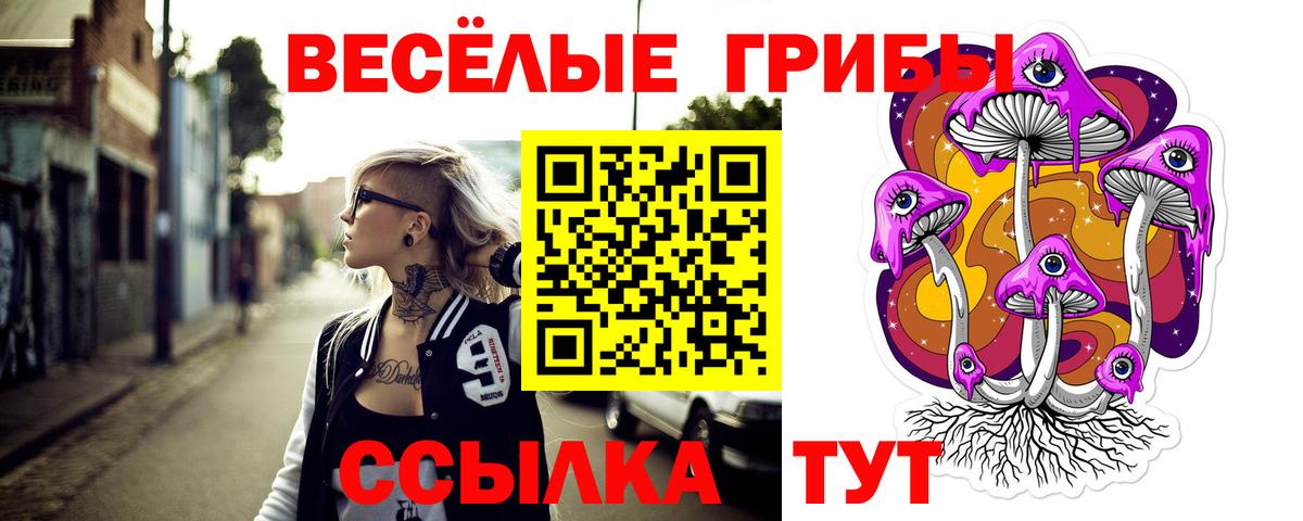 Курск  Галлюциногенные грибы Cubensis  Вход с VPN 