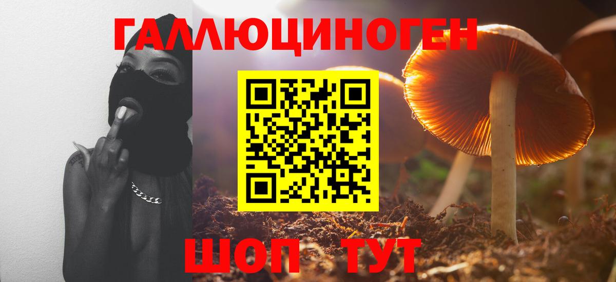 дарнет шоп  Галлюциногенные грибы Magic Shrooms  Курск  Псилоцибиновые грибы ЛСД 